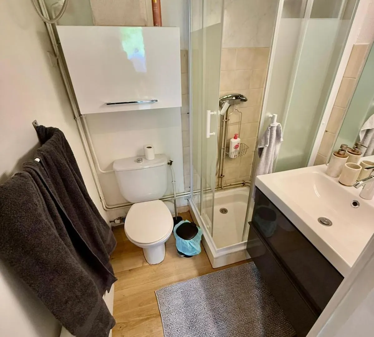 Appartement Gare Toulouse Matabiau Climatise